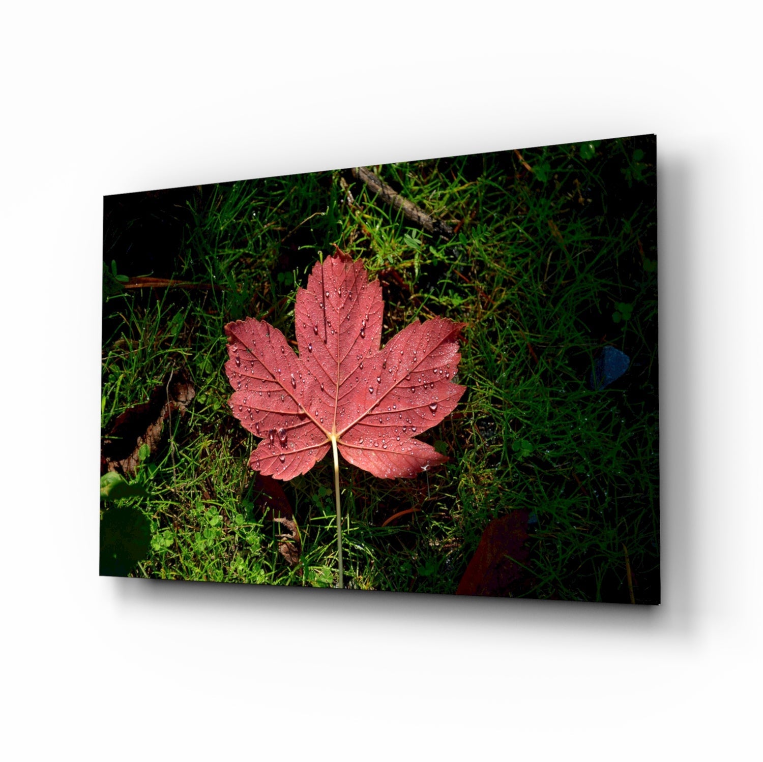 Pink Leaf botanical glass wall art