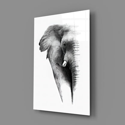 Faded Elephant Sketch Glass Wall Art