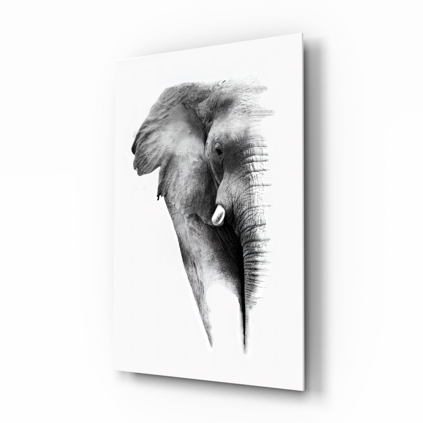 Faded Elephant Sketch glass wall art print