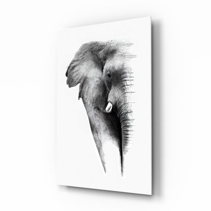 Faded Elephant Sketch glass wall art print