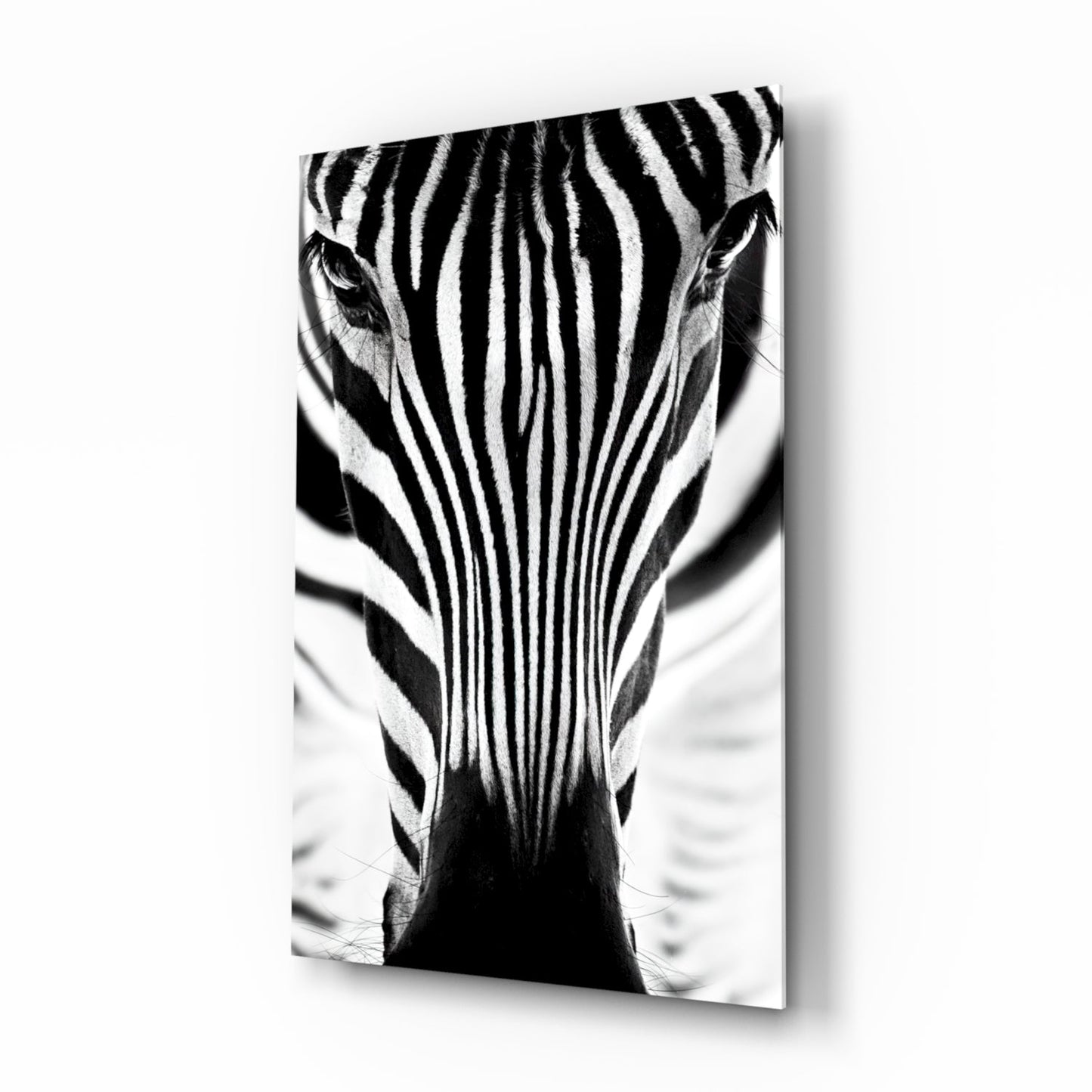 Zebra glass wall art close up portrait