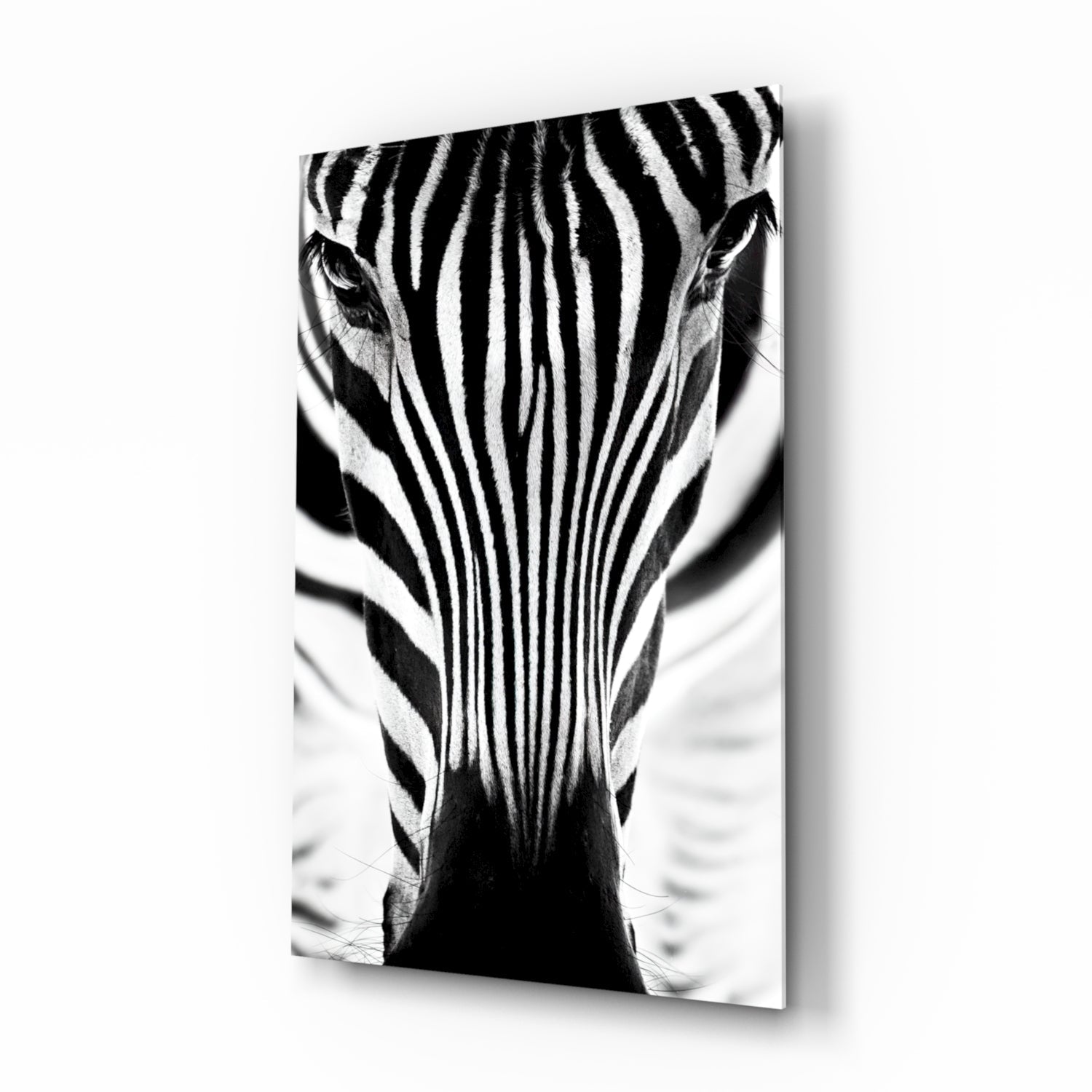 Zebra glass wall art close up portrait