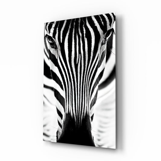 Zebra glass wall art close up portrait