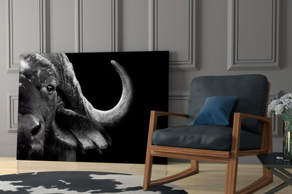Bison Glass Wall Art