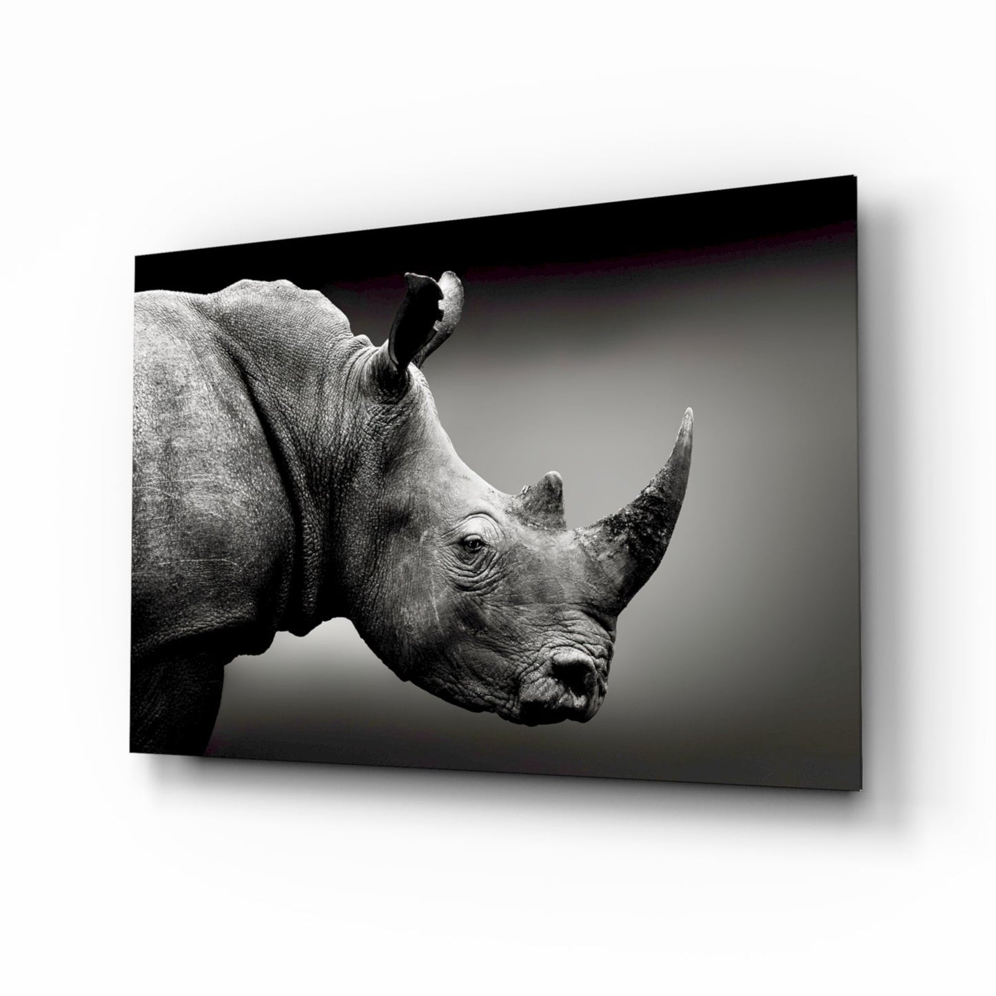 White rhino profile glass wall art in silver and charcoal