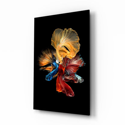Betta's Dance glass wall art tempered glass print