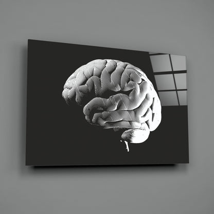 Vintage Anatomy Brain Glass Wall Art