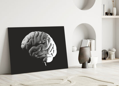 Vintage Anatomy Brain Glass Wall Art