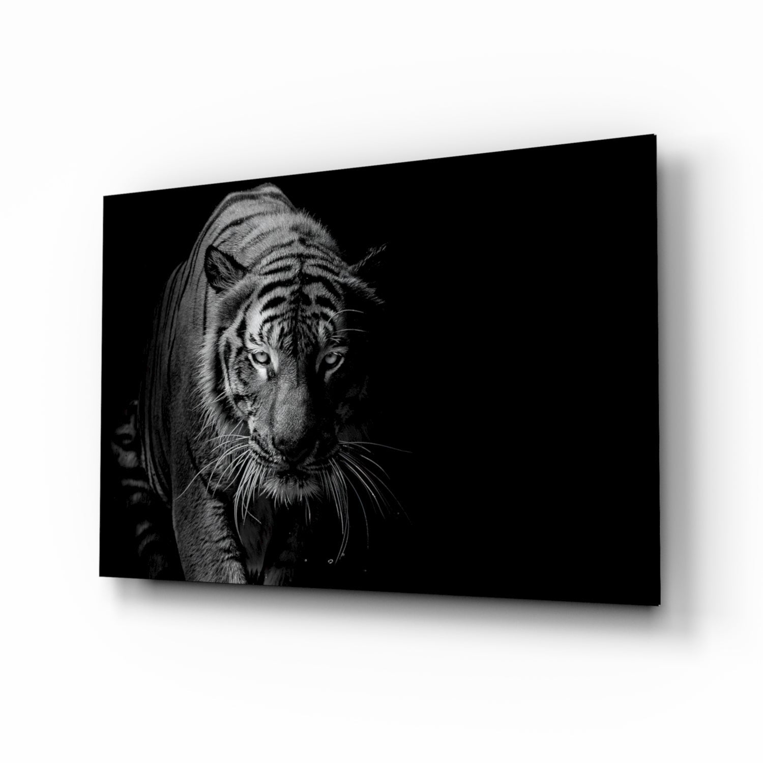 Monochrome Tiger Glass Wall Art with silver-and-charcoal stripes