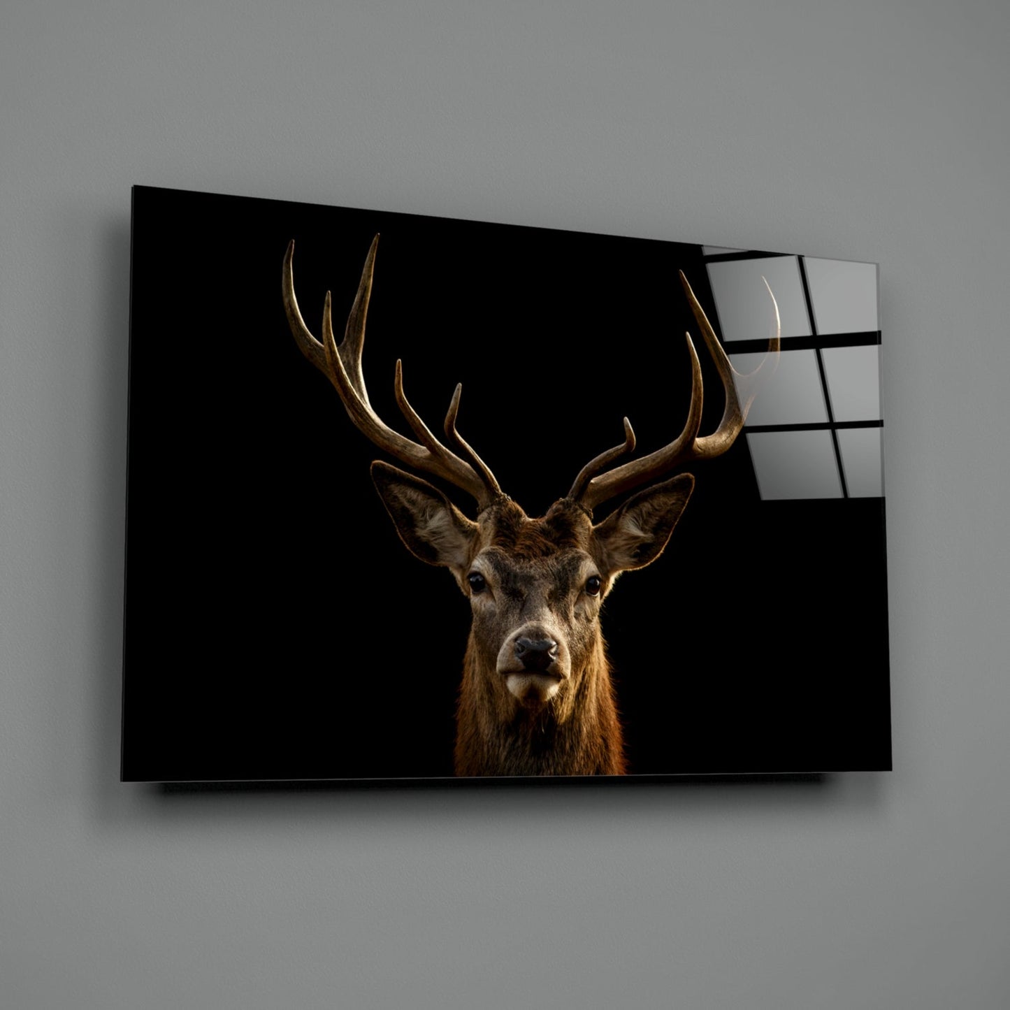 Deer Glass Wall Art - Red Stag Wildlife Portrait