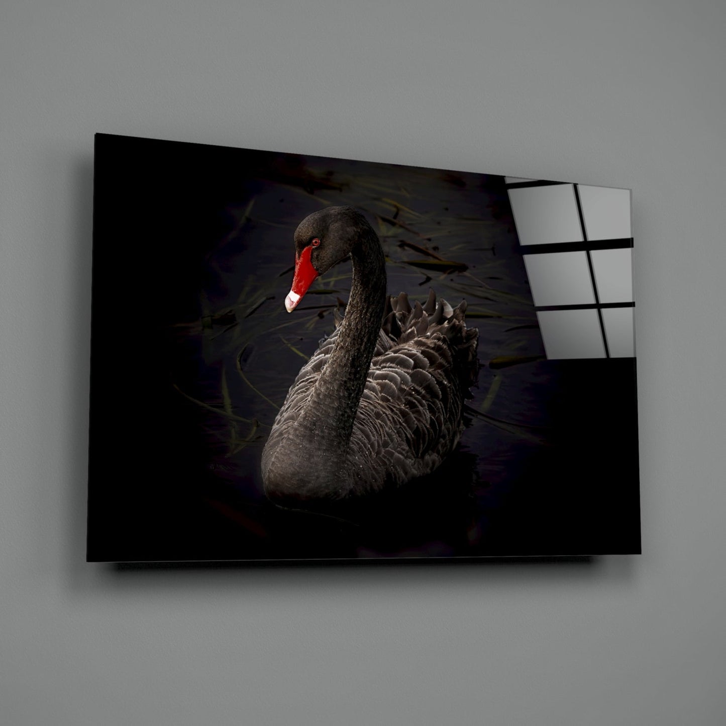Black Swan Glass Wall Art Moody Bird Print