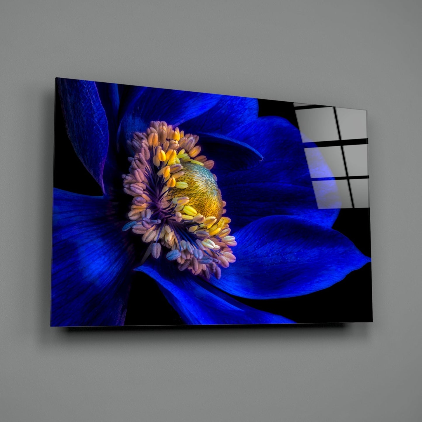 Cobalt Anemone Glass Wall Art
