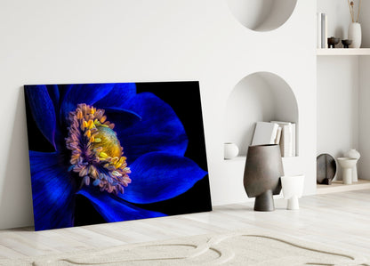 Cobalt Anemone Glass Wall Art