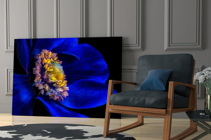 Cobalt Anemone Glass Wall Art