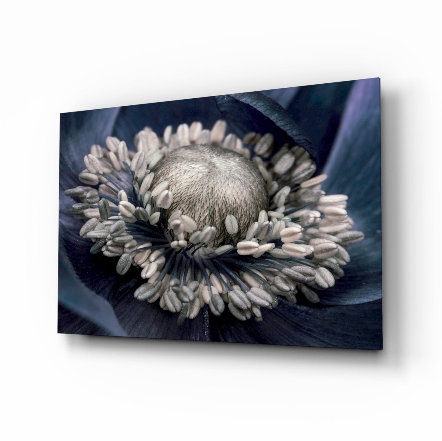 Gray flower glass wall art monochrome anemone