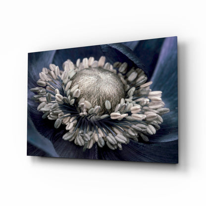 Gray flower glass wall art monochrome anemone