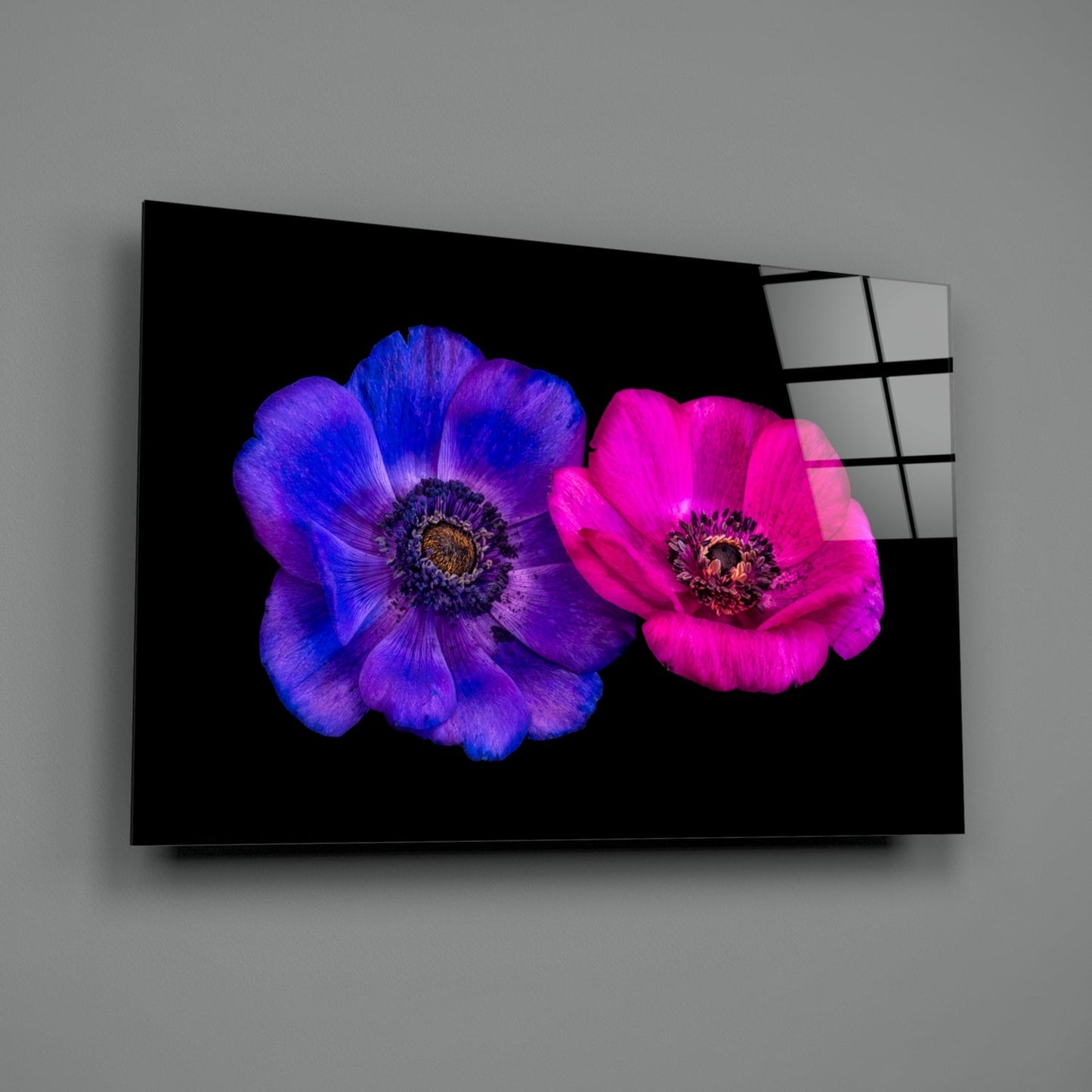 Anemone Bloom Floral Glass Wall Art