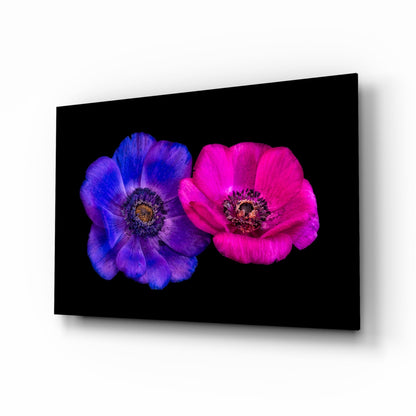 Indigo and magenta anemone blooms on glass wall art