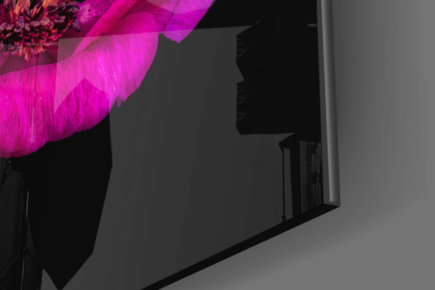 Anemone Bloom Floral Glass Wall Art