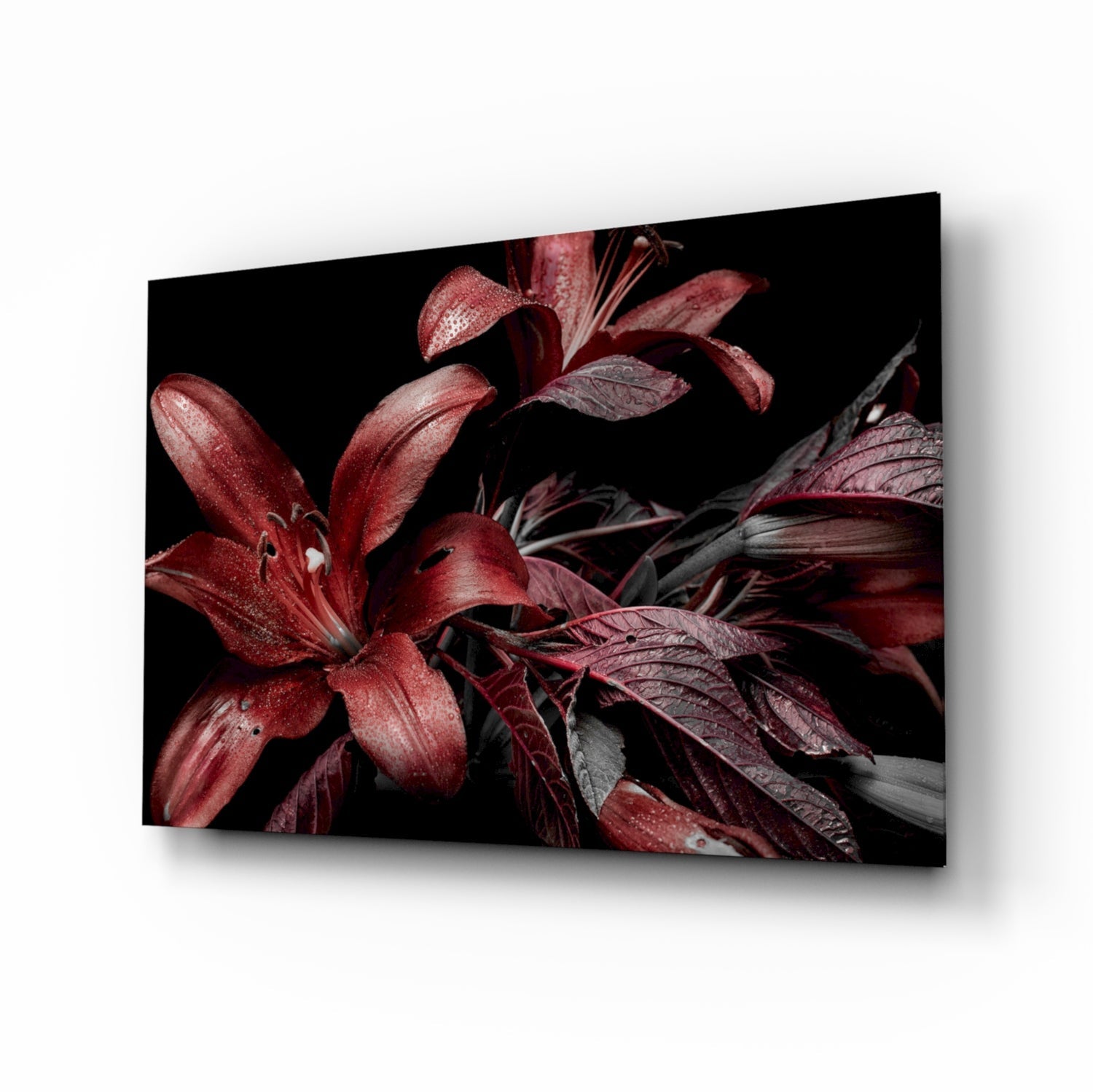 Crimson lilies on black glass wall art