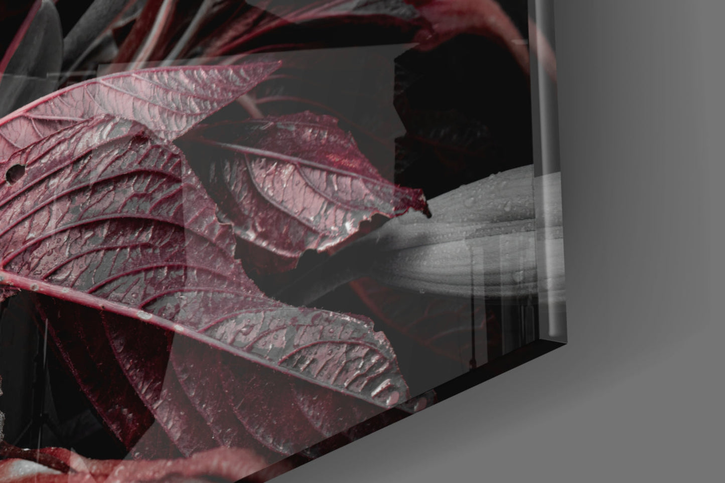 Crimson Lilies on Black Glass Wall Art