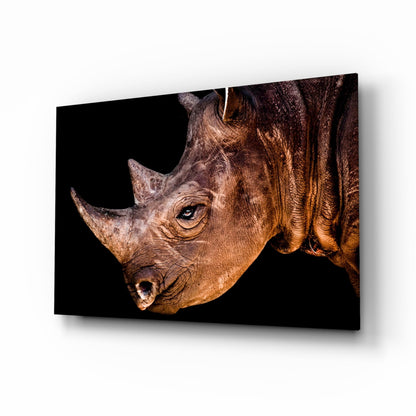 Warm Lit Rhino Glass Wall Art