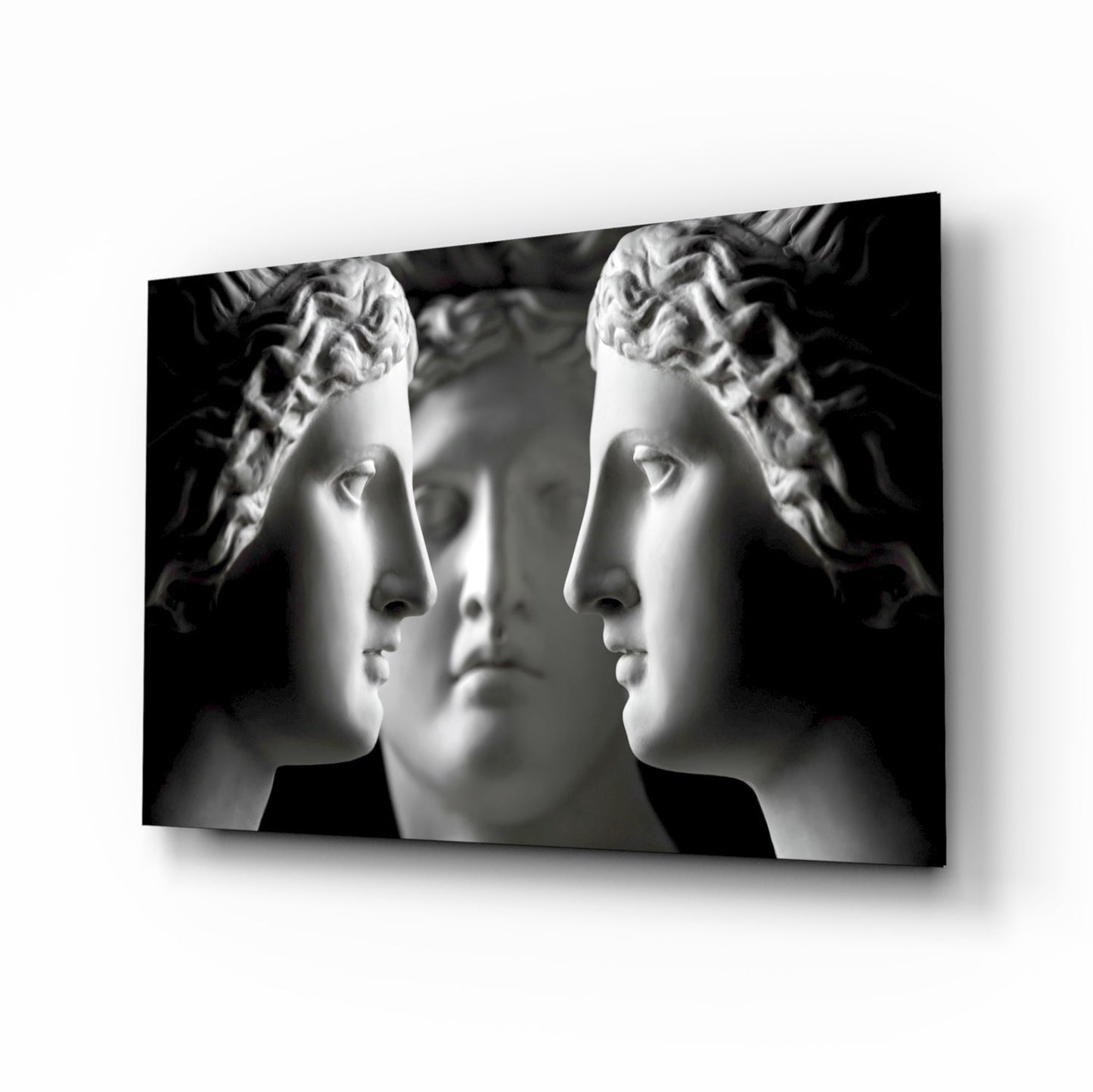 Black and white mirrored statue faces glass wall art