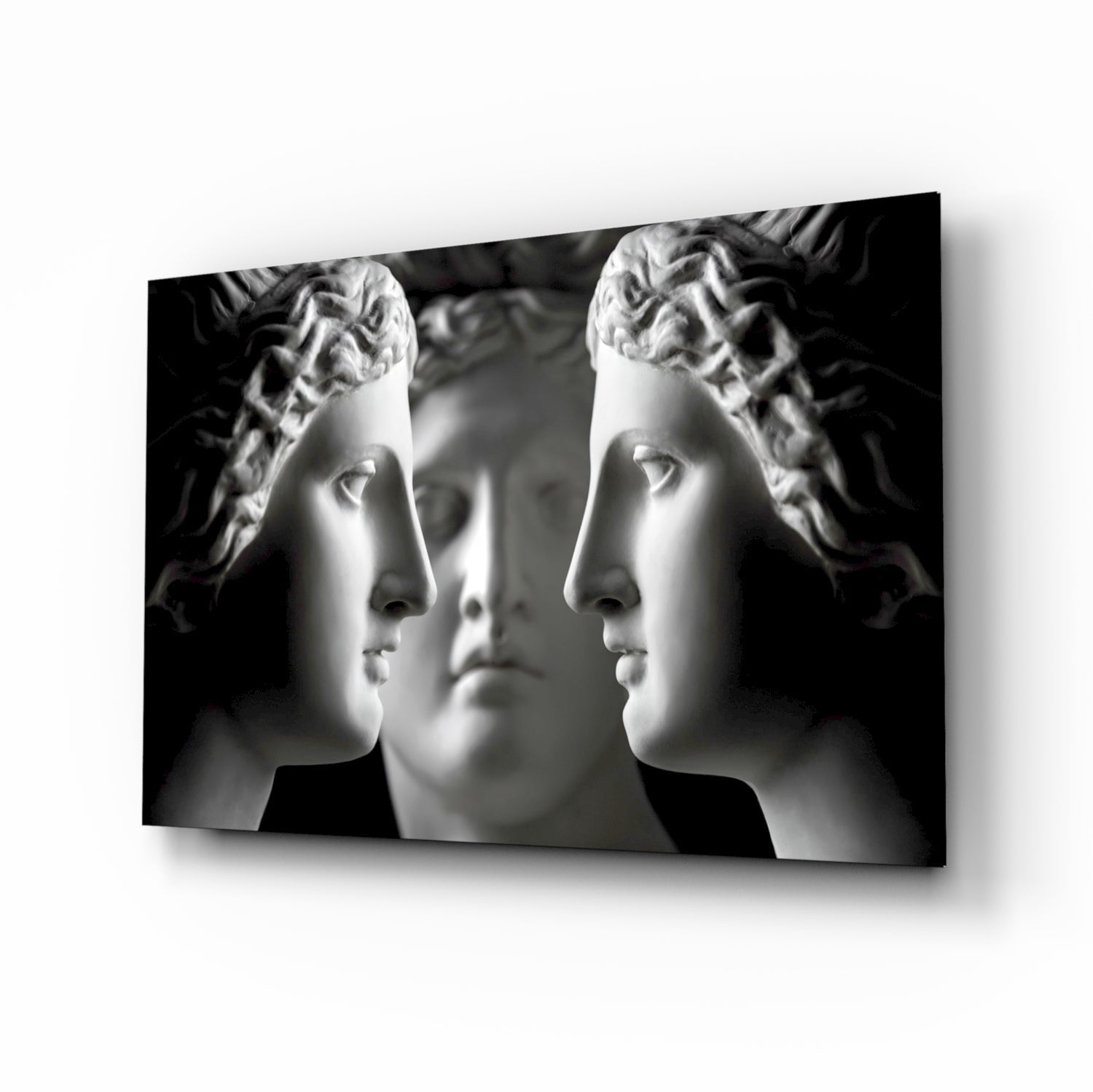 Black and white mirrored statue faces glass wall art