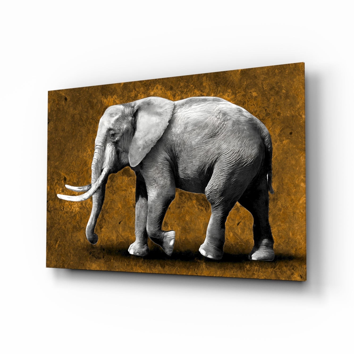 Amber elephant glass wall art selective-color print