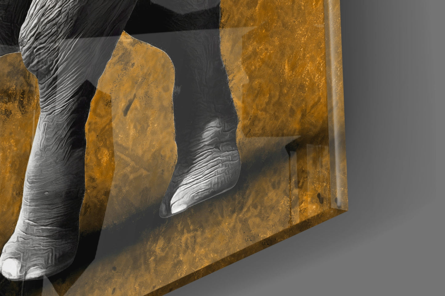Amber Elephant Glass Wall Art