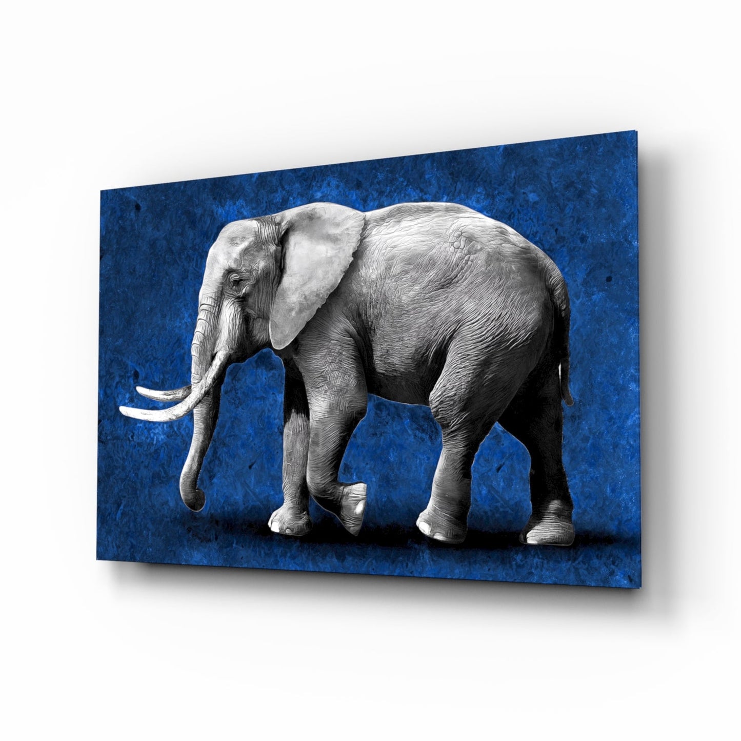 Cobalt elephant glass wall art selective-color print