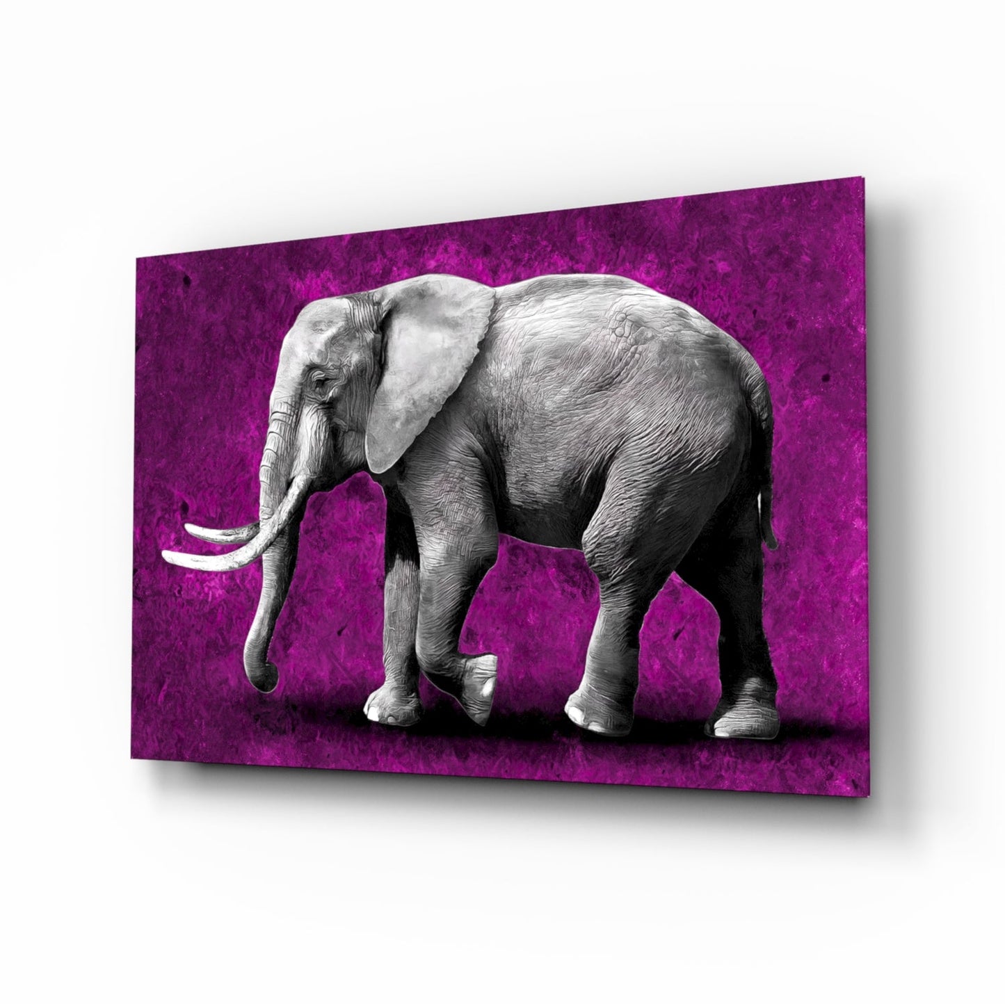 Magenta elephant glass wall art selective-color print