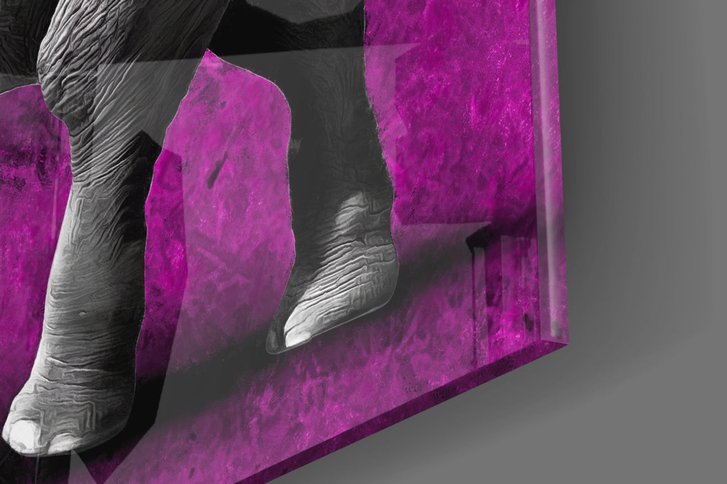 Magenta Elephant Glass Wall Art
