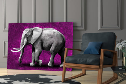 Magenta Elephant Glass Wall Art