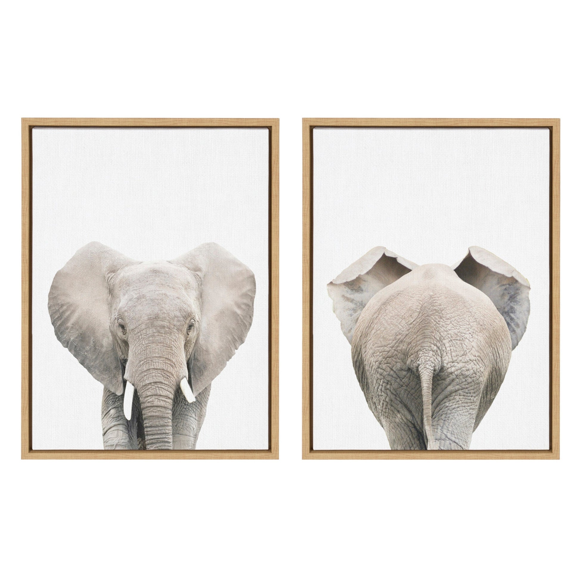 Elephant front and back two-piece framed canvas art set