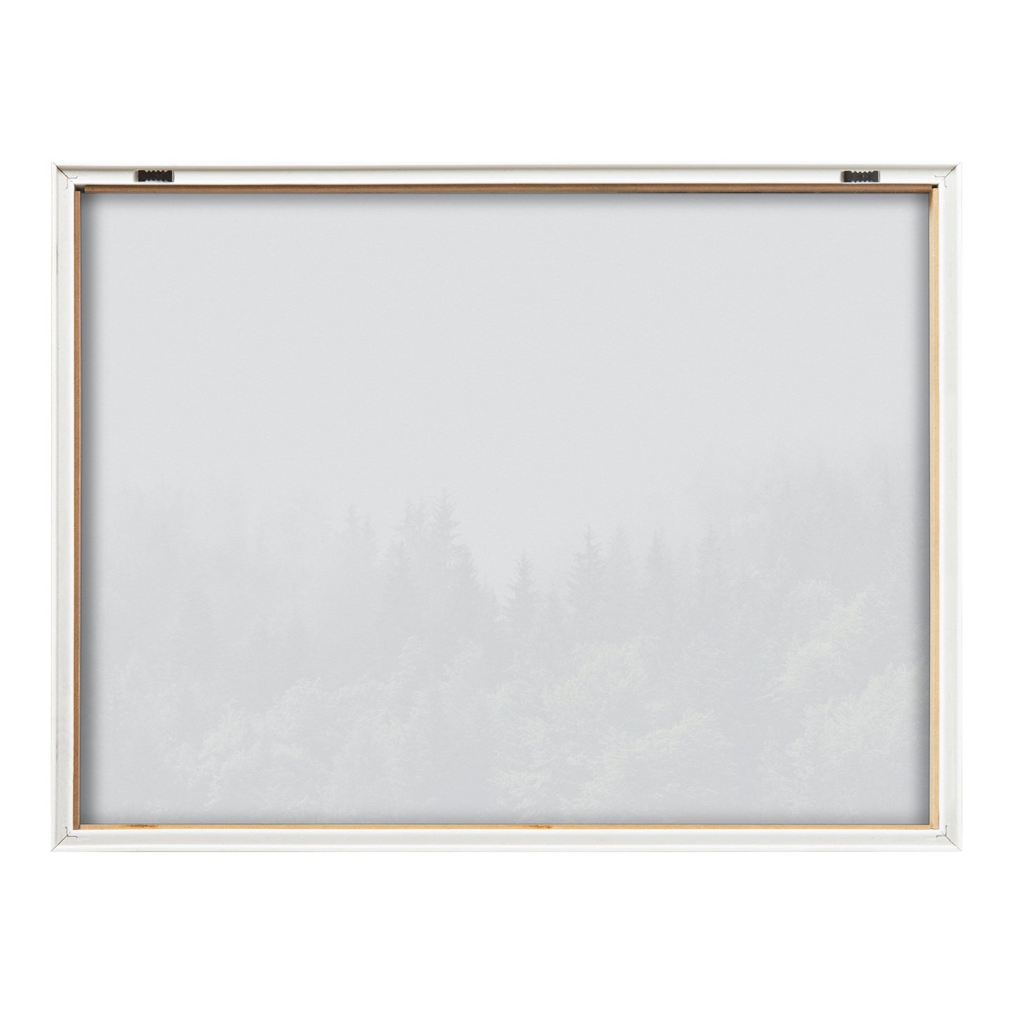 Lush Green Forest Foggy Day Framed Glass Wall Art
