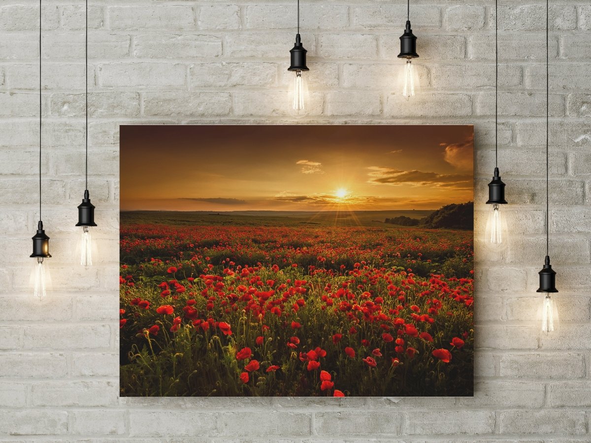 Sunset poppy fields floral canvas wall art print