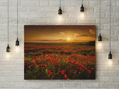 Sunset poppy fields floral canvas wall art print