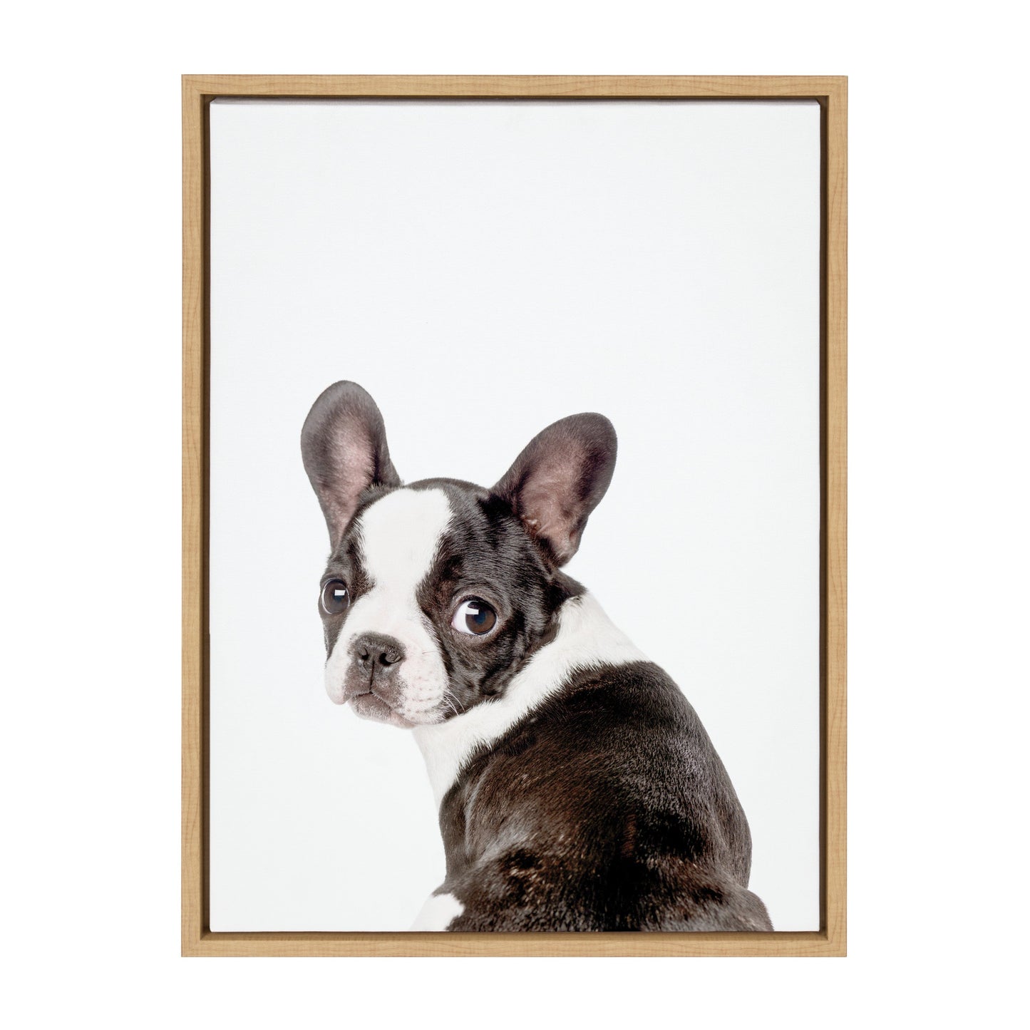 French Bulldog Framed Canvas Wall Art