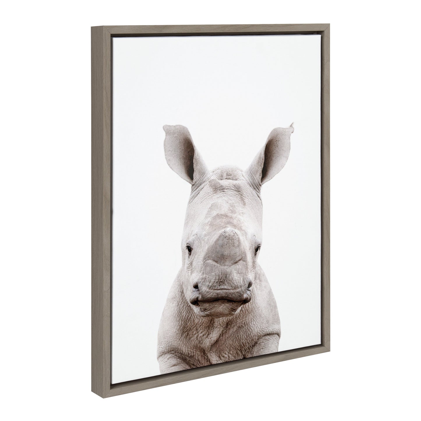 Framed canvas portrait of a baby rhino for safari nursery and kids room wall decor