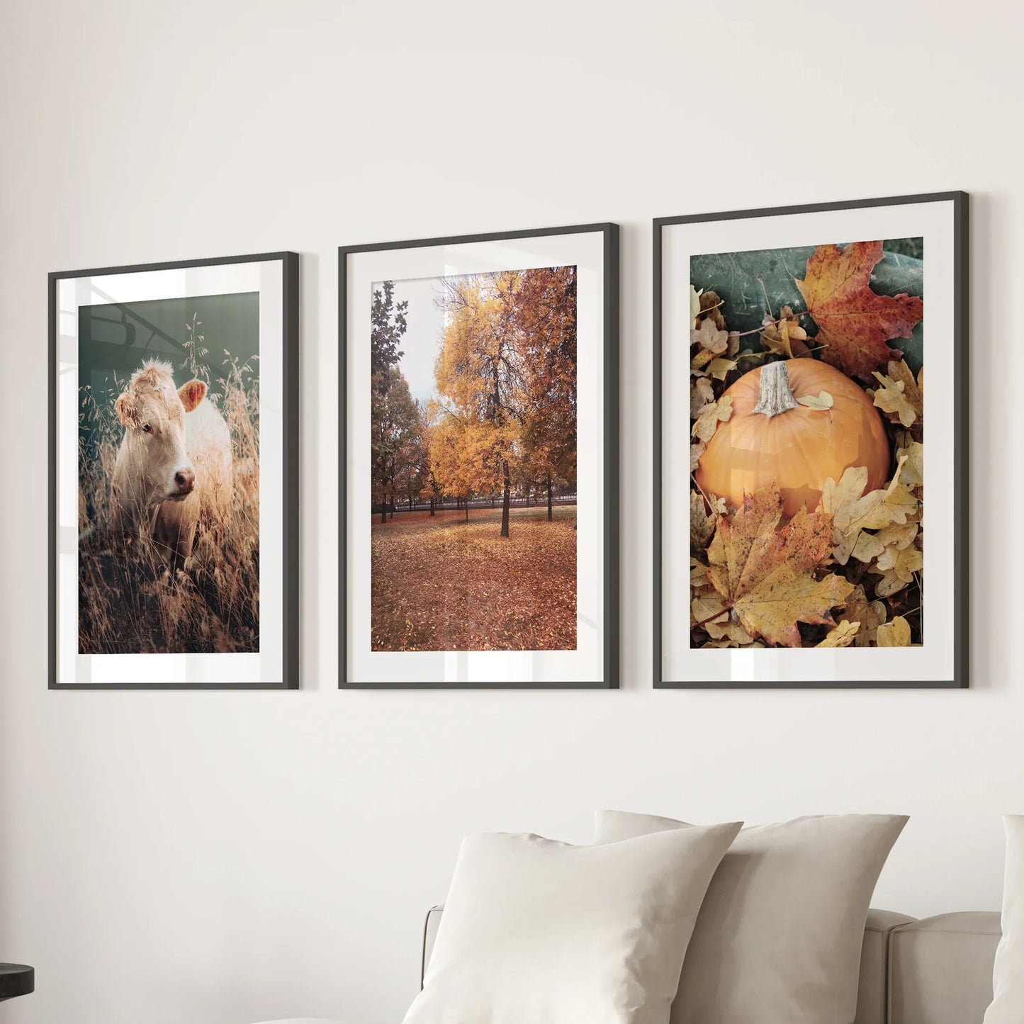 Autumn Farmhouse Wall Art Set of 3 Cow and Fall Prints