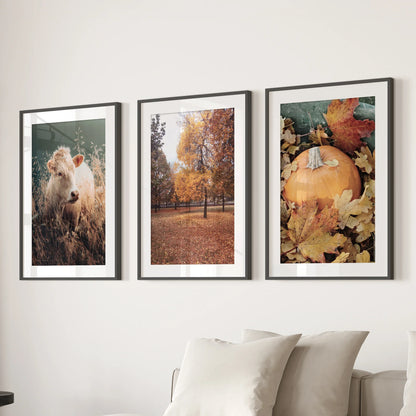 Autumn Farmhouse Wall Art Set of 3 Cow and Fall Prints