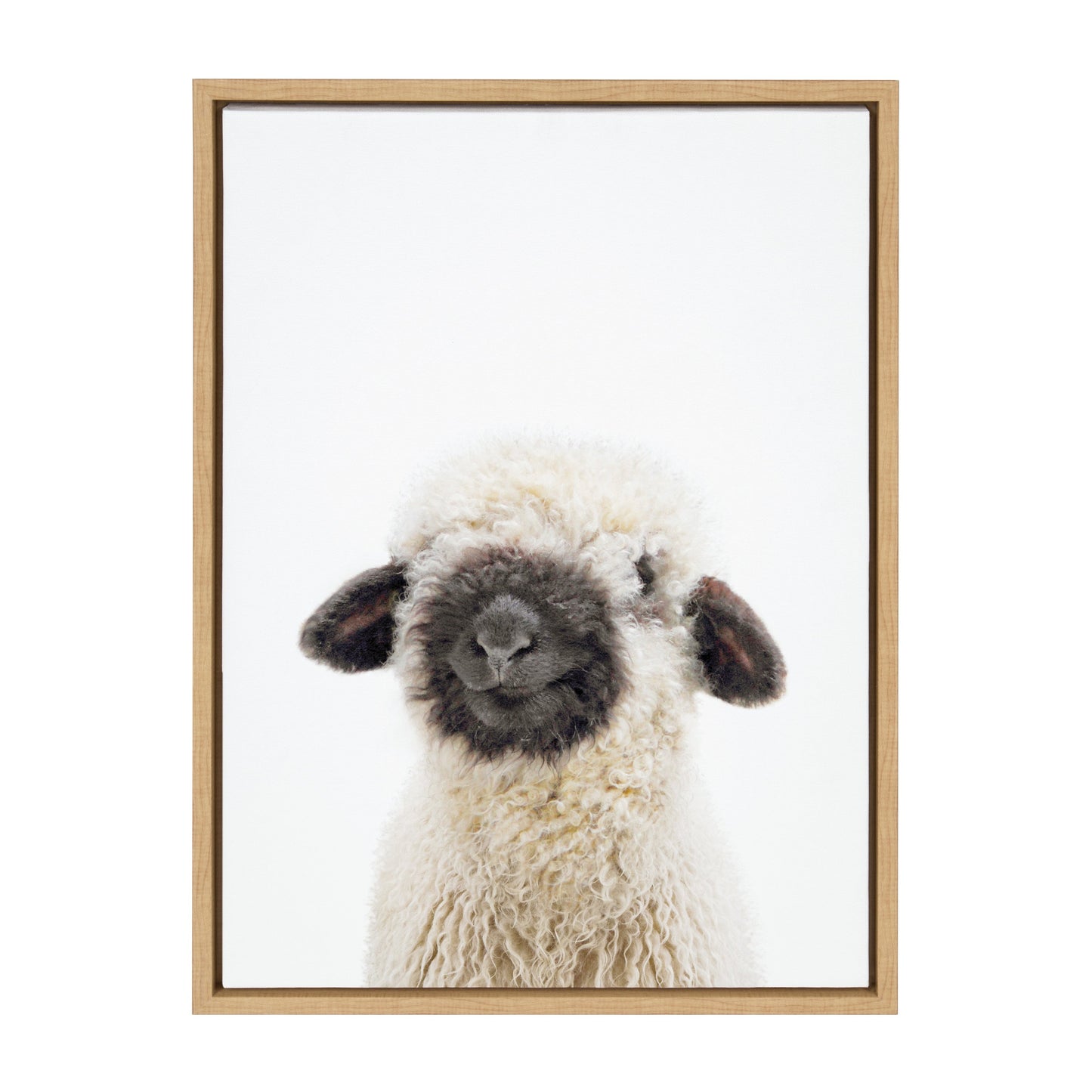 Black Nosed Sheep Framed Canvas Wall Art, Farmhouse Decor