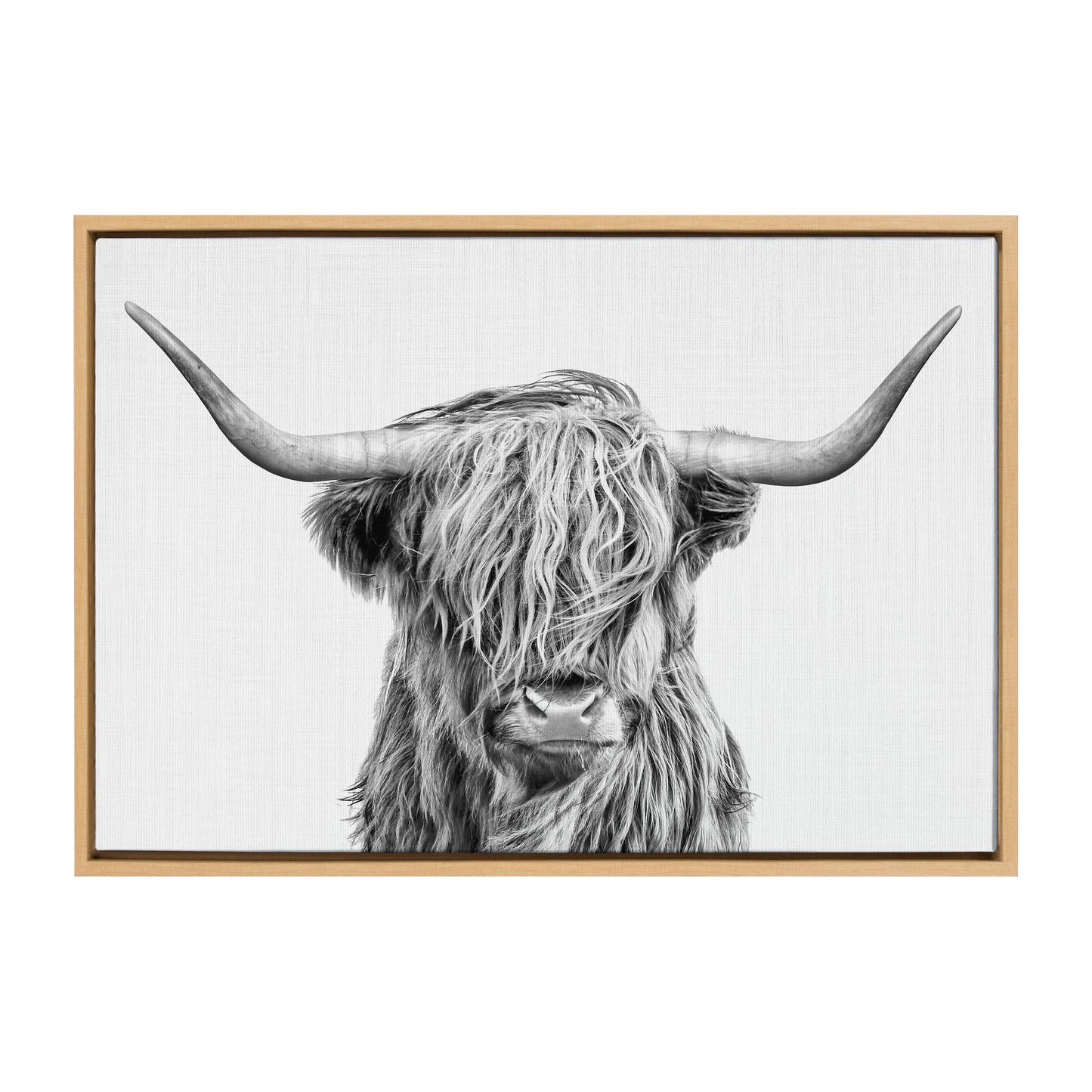 Highland Cow Framed Canvas Wall Art
