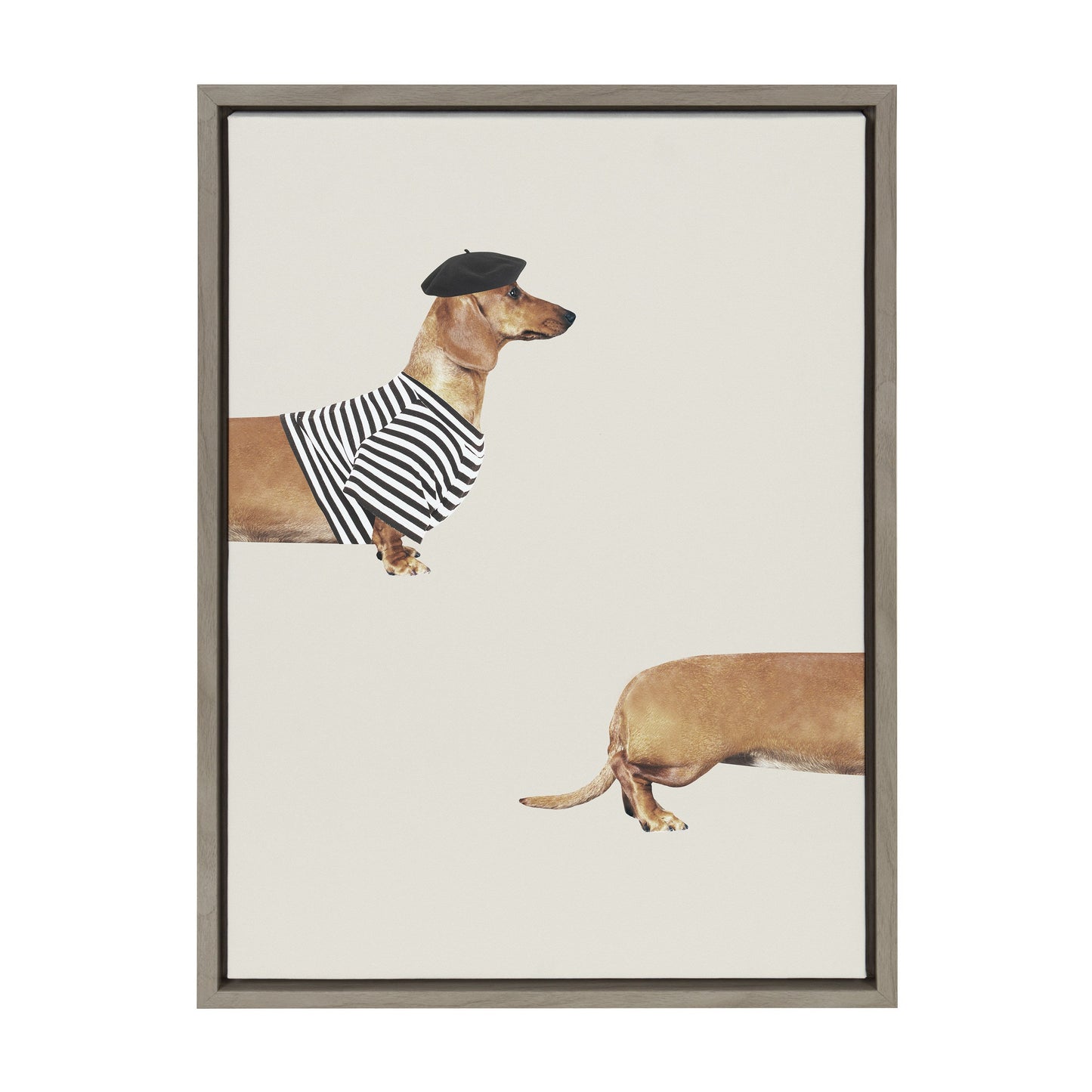 Long Dog Framed Canvas Wall Art