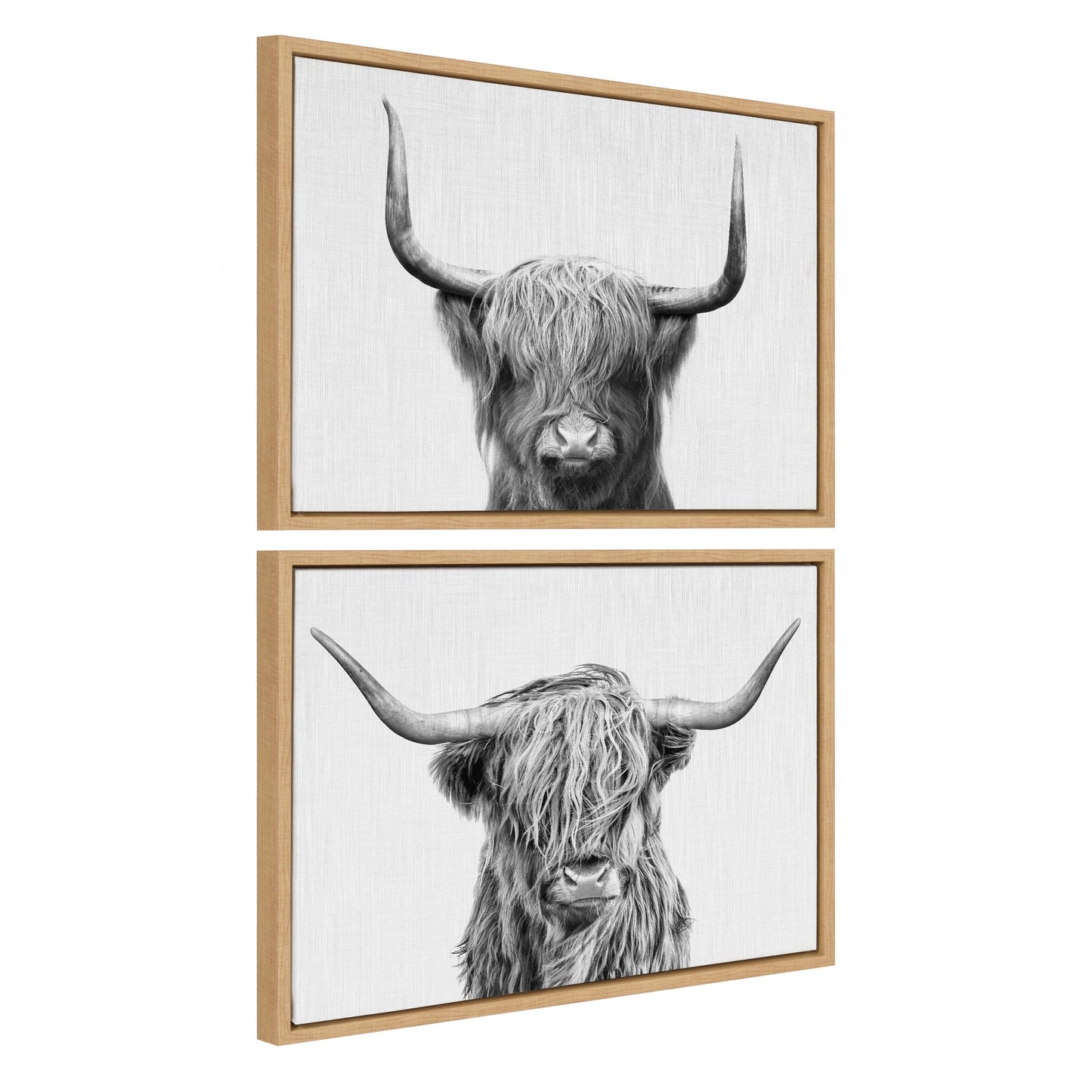 Highland Cow Duo 2 Piece Framed Canvas Art Set