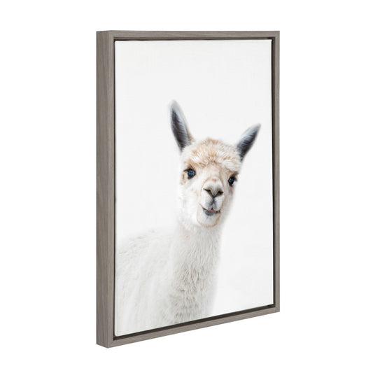 Alpaca Portrait Framed Canvas Wall Art, Nursery Decor