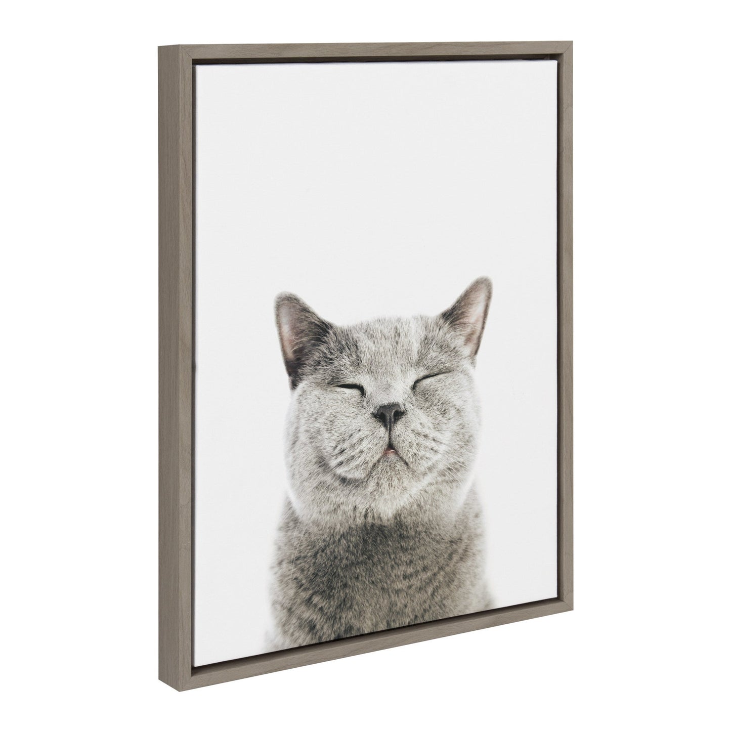 Smiling Cat Framed Canvas Wall Art