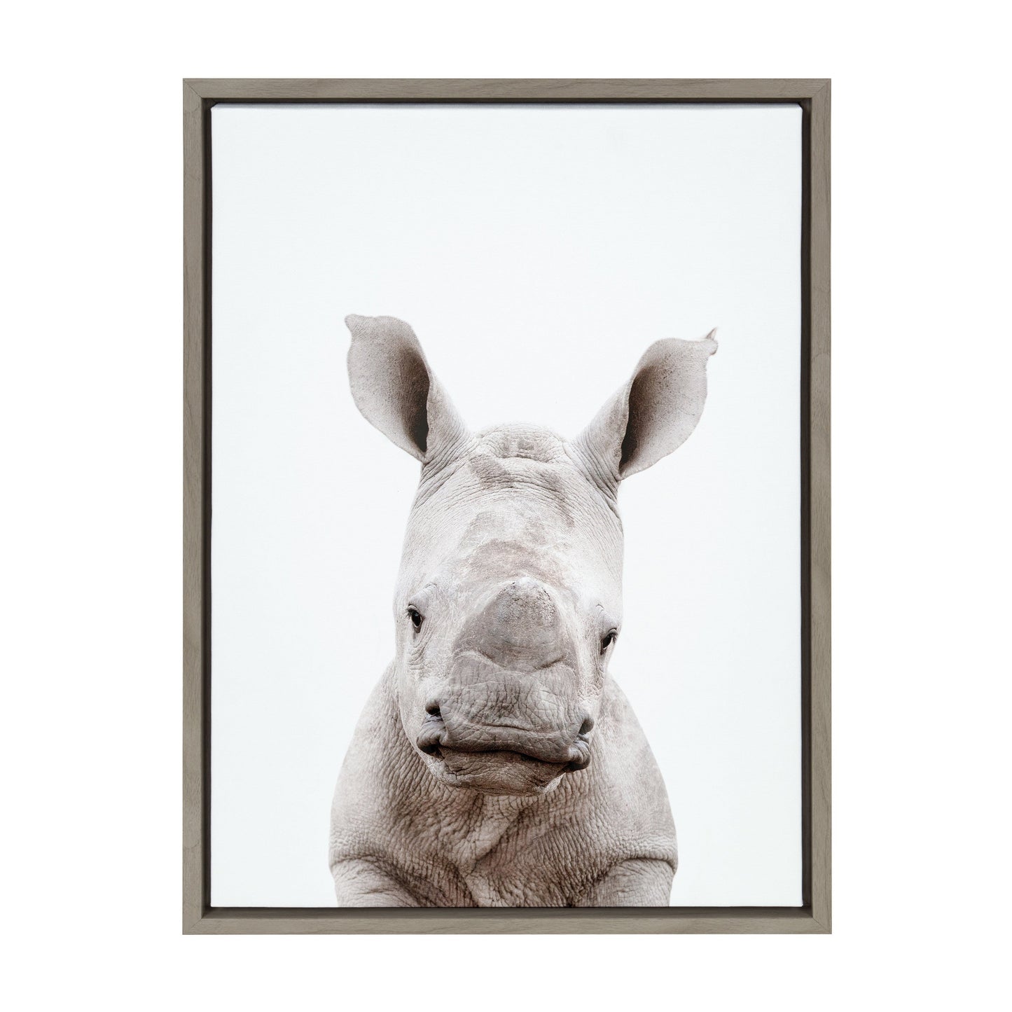 Sylvie Animal Studio Baby Rhino Framed Canvas by Amy Peterson Art Studio