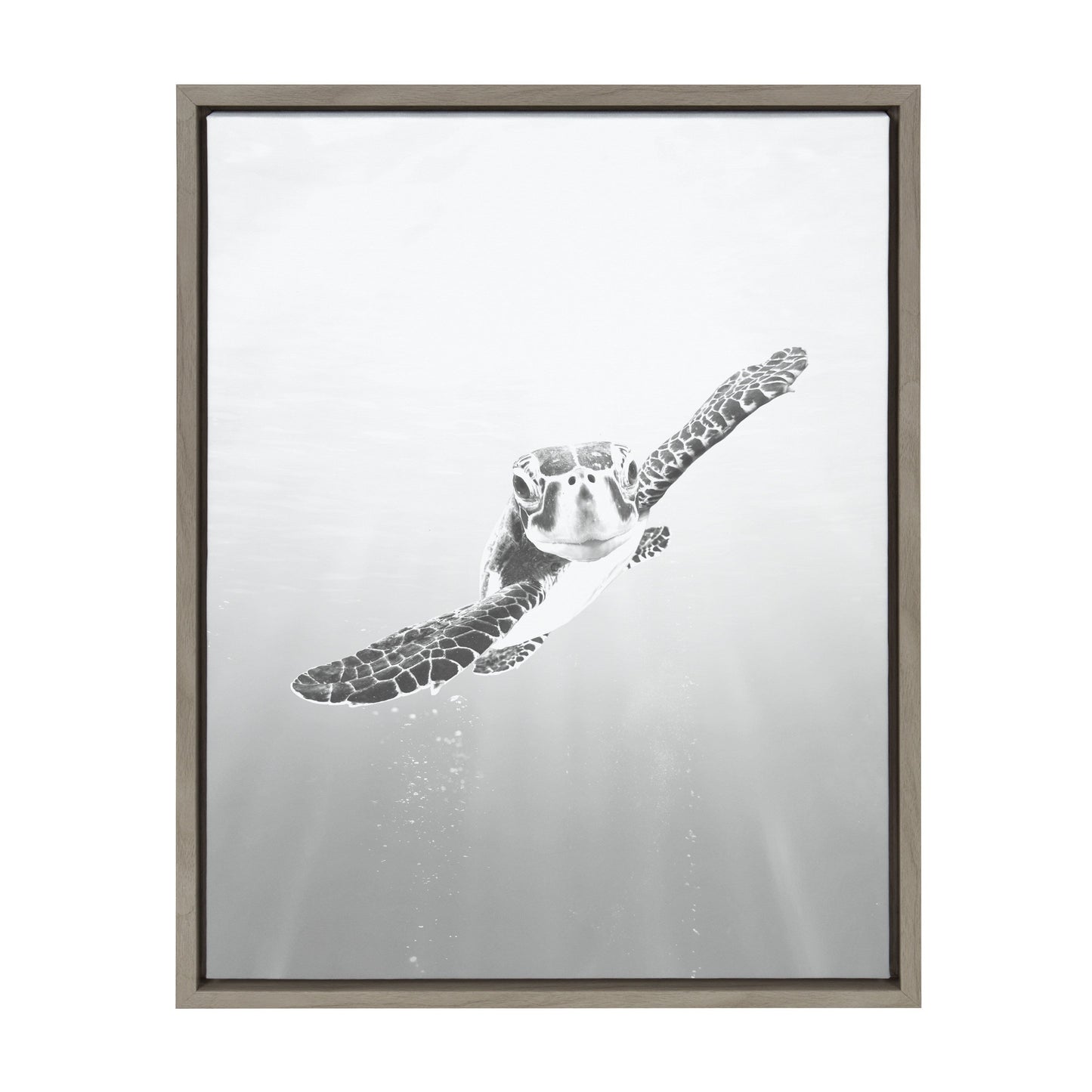 Sylvie Sea Turtle Framed Canvas by Simon Te of Tai Prints